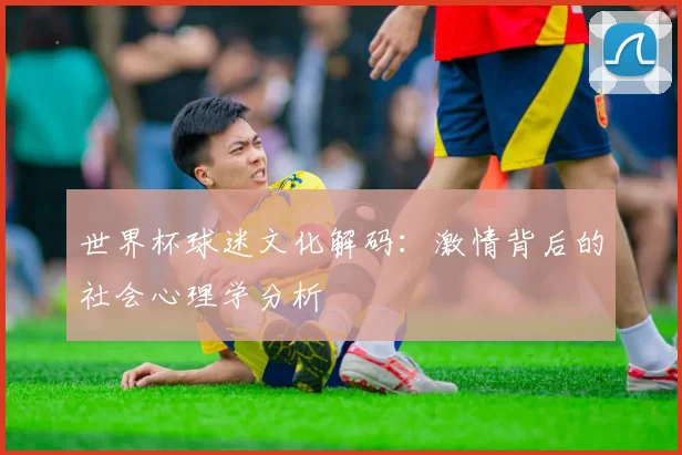 世界杯球迷文化解码：激情背后的社会心理学分析